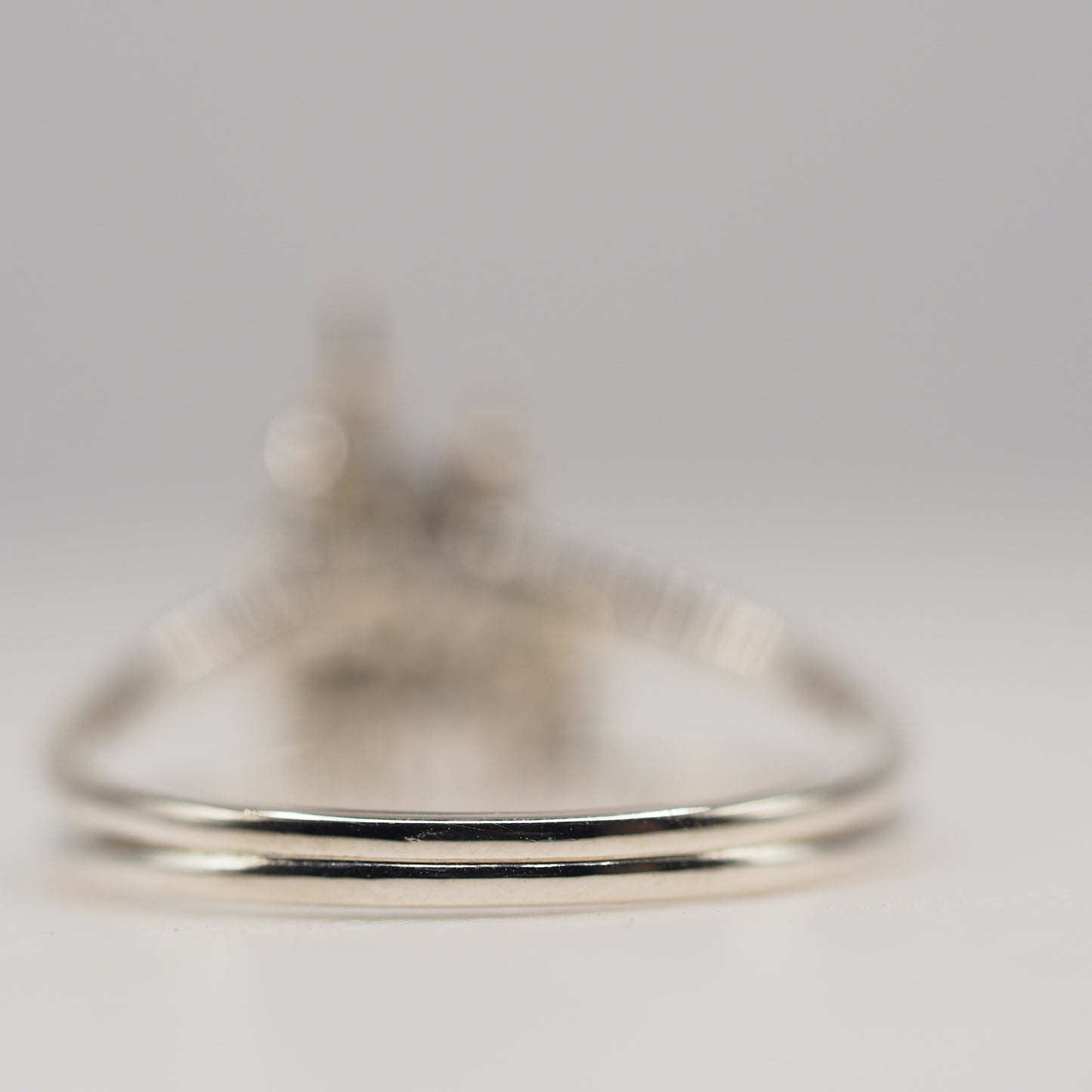Neuschwanstein Castle Ring